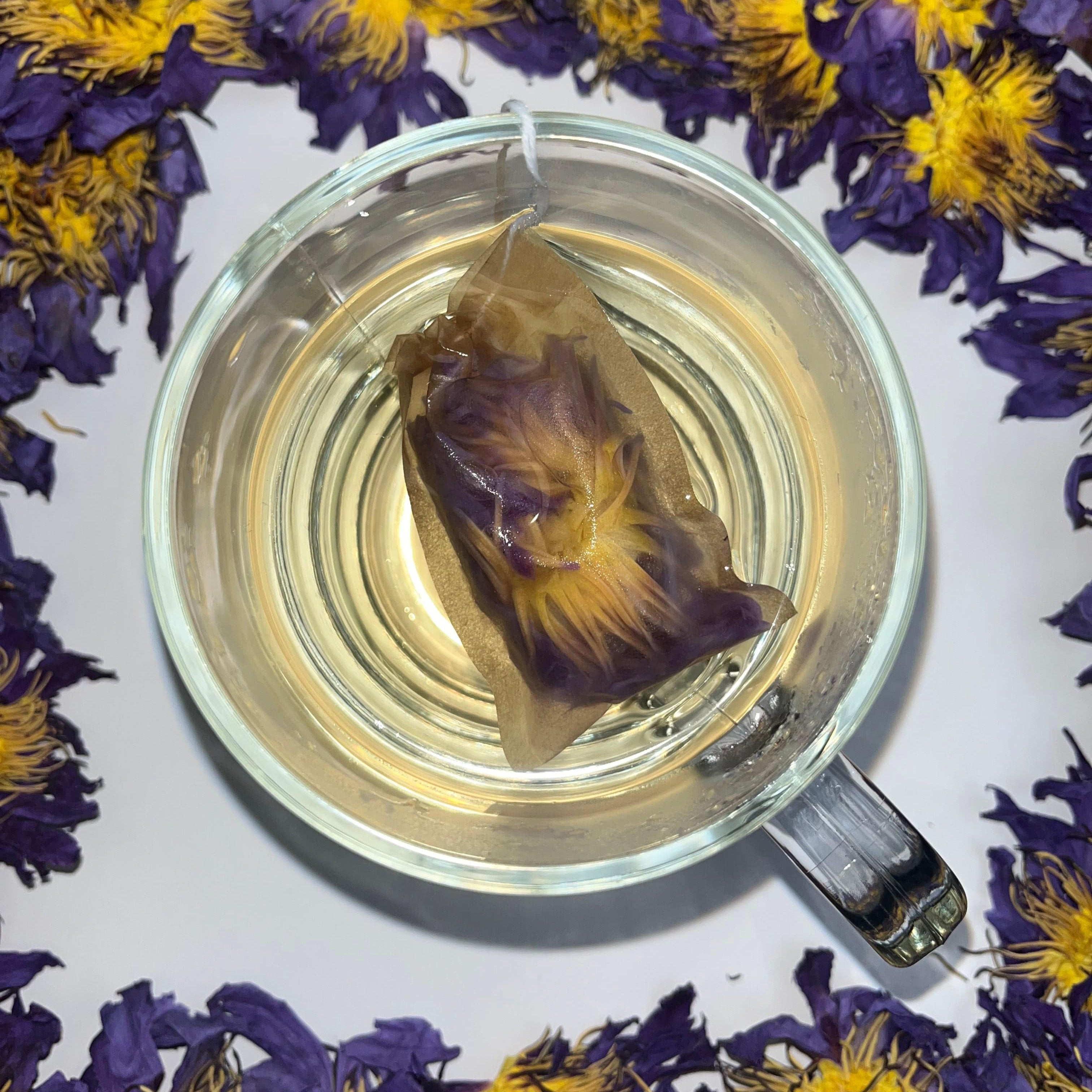 blue lotus flower tea