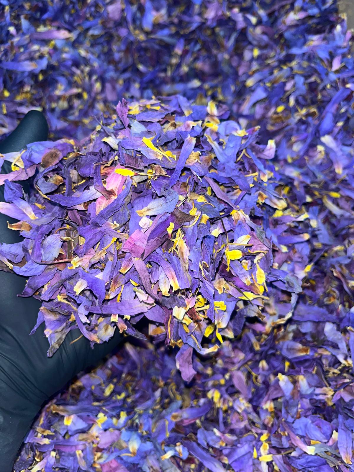 blue lotus flower petals