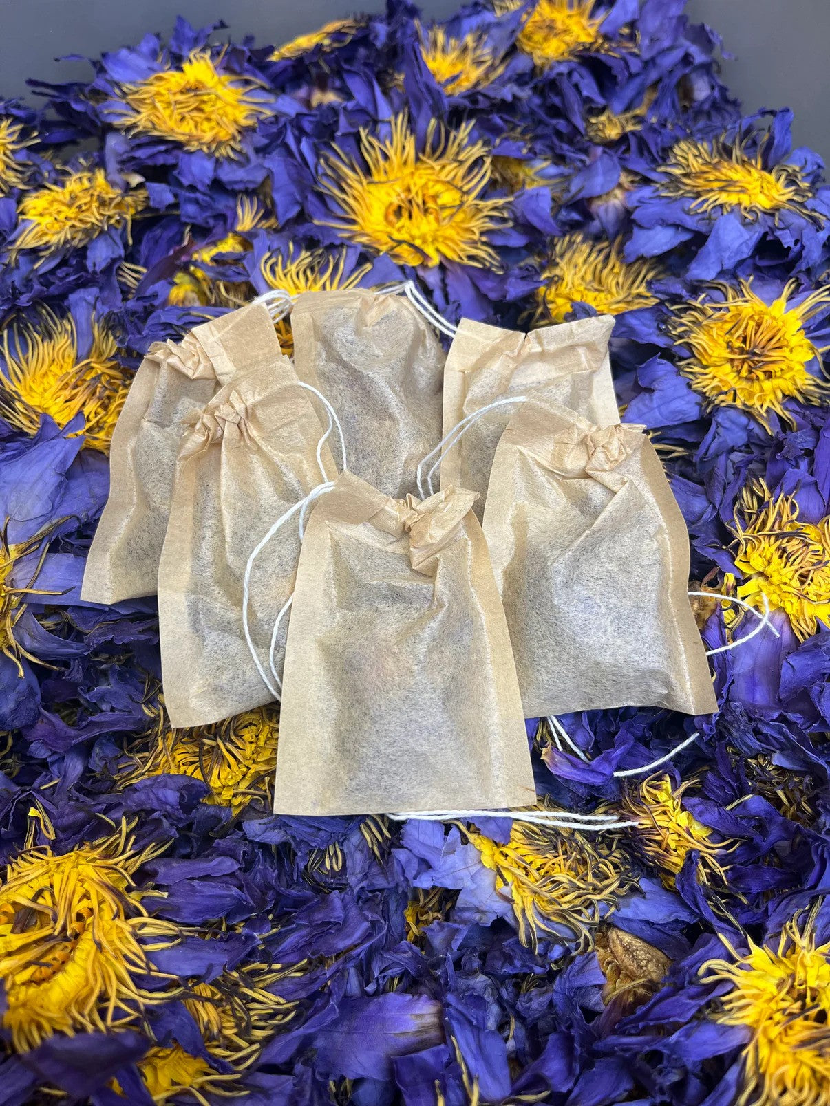 Blue Lotus Flower Tea Bags